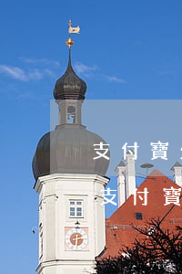 支付寶欠網(wǎng)商貸還不上怎么辦(支付寶網(wǎng)商貸還清了款怎么貸不了了)