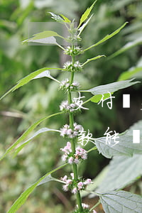 支付寶欠網(wǎng)貸怎么辦(支付寶欠款能貸款嗎)