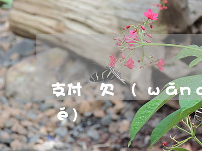 支付寶欠網(wǎng)貸會被凍結(jié)嗎