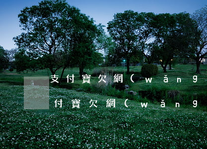 支付寶欠網(wǎng)貸的能做高鐵嗎(支付寶欠網(wǎng)貸的能做高鐵嗎)