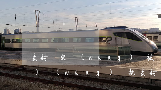 支付寶欠網(wǎng)貸被凍結(jié)(網(wǎng)貸把支付寶凍結(jié)了)