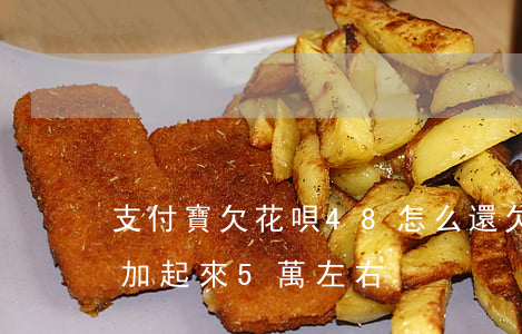 支付寶欠花唄48怎么還(欠支付寶花唄借唄加起來5萬左右)