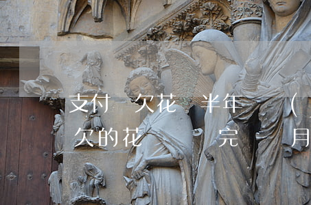 支付寶欠花唄半年還進(jìn)去(上個月欠的花唄沒還完這個月還能欠嗎)