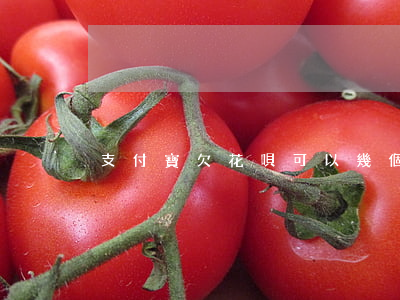 支付寶欠花唄可以幾個(gè)月后還