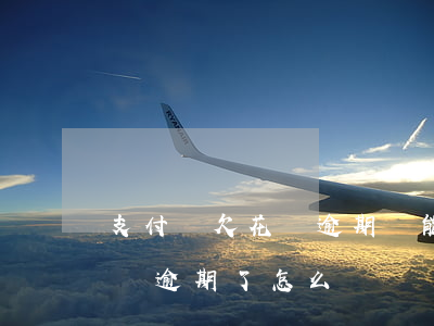 支付寶欠花唄逾期還能貸款嗎-欠支付寶花唄逾期了怎么辦