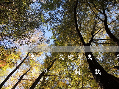 支付寶欠逾期(支付寶欠逾期支付寶有權(quán)利罰款嗎)