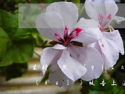支付寶欠錢(qián)會(huì)不會(huì)被告上法院（支付寶欠多錢(qián)會(huì)起訴）