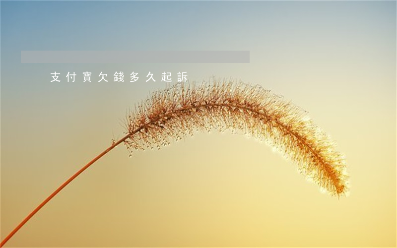 支付寶欠錢多久起訴