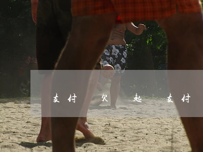 支付寶欠錢起訴（支付寶欠債起訴）