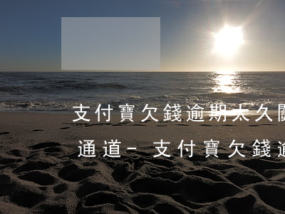 支付寶欠錢逾期太久關(guān)閉還款通道-支付寶欠錢逾期太久關(guān)閉還款通道怎么辦