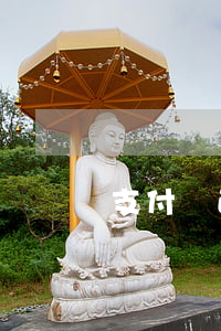 支付寶正常逾期多久(支付寶逾期多久算逾期)