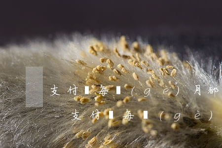支付寶每個(gè)月都還款起訴會怎么樣-支付寶每個(gè)月都還款起訴會怎么樣嗎