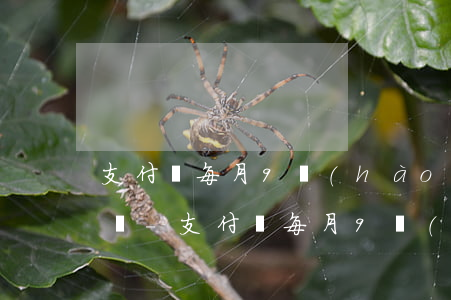 支付寶每月9號(hào)晚上還款算逾期嗎-支付寶每月9號(hào)晚上還款算逾期嗎怎么辦