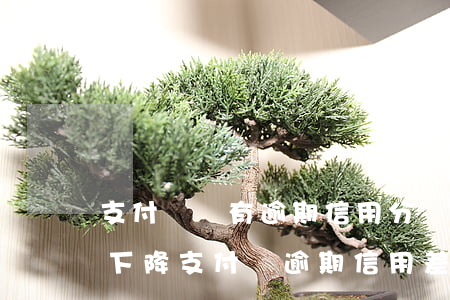 支付寶沒有逾期信用分為什么會(huì)下降（支付寶逾期信用差還能用嗎）