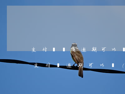 支付寶沒有逾期可以協(xié)商還款嗎(支付寶逾期可以協(xié)商還款么)