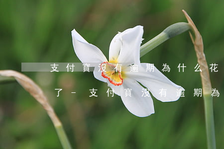 支付寶沒有逾期為什么花唄凍結(jié)了-支付寶沒有逾期為什么花唄凍結(jié)了呢
