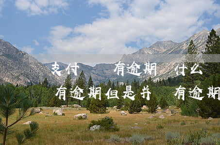 支付寶沒有逾期為什么顯示逾期(支付寶顯示有逾期但是并沒有逾期)