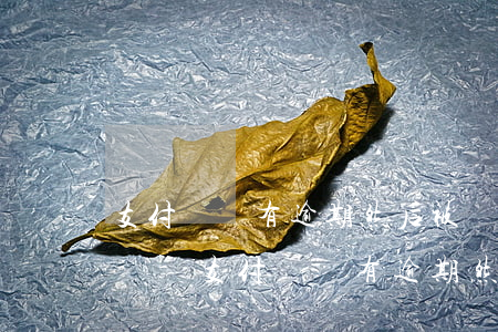 支付寶沒有逾期然后被凍結(jié)了花唄-支付寶沒有逾期然后被凍結(jié)了花唄怎么辦