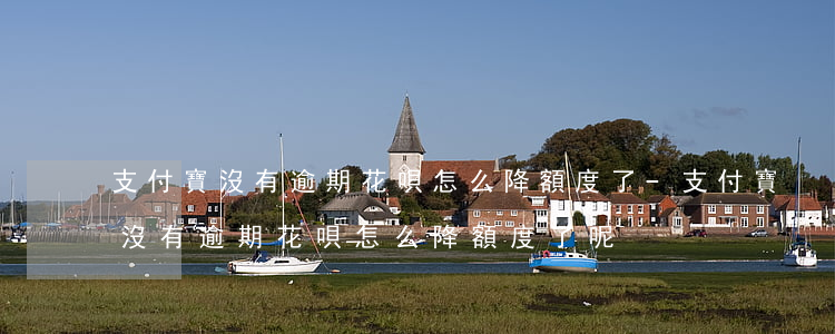 支付寶沒有逾期花唄怎么降額度了-支付寶沒有逾期花唄怎么降額度了呢