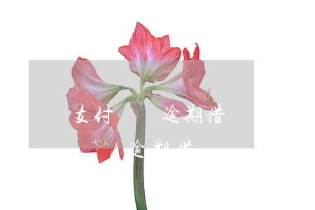 支付寶沒逾期借唄關(guān)停-支付寶沒逾期借唄關(guān)停了嗎