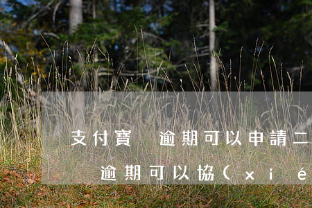 支付寶沒逾期可以申請二次分期嗎-支付寶沒逾期可以協(xié)商嗎