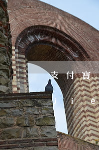 支付寶沒逾期的現(xiàn)在也要結(jié)清(為什么支付寶逾期后 結(jié)清還是不能用)