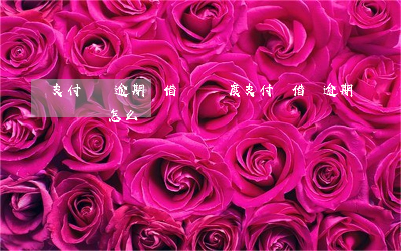 支付寶沒逾期過借唄沒額度(支付寶借唄逾期沒還會怎么樣)