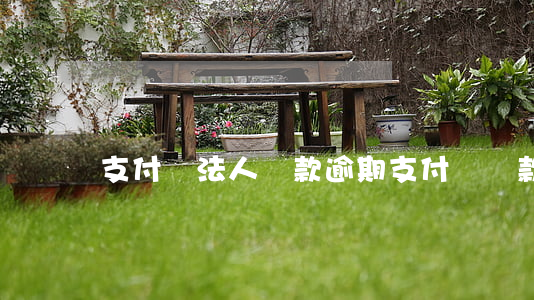 支付寶法人貸款逾期 支付寶貸款逾期了