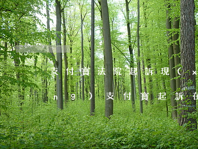 支付寶法院起訴現(xiàn)場(chǎng)(支付寶起訴在哪里開(kāi)庭)