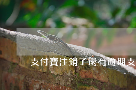 支付寶注銷了還有逾期(支付寶逾期還清了)