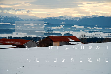 支付寶注銷后花唄逾期記錄還能查到嗎-支付寶注銷后花唄逾期記錄還能查到嗎