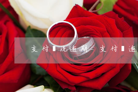 支付寶洗逾期-支付寶逾期吧