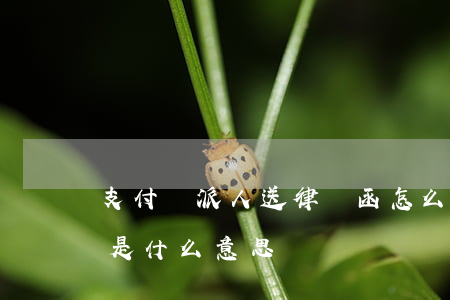 支付寶派人送律師函怎么辦(支付寶寄律師函是什么意思)