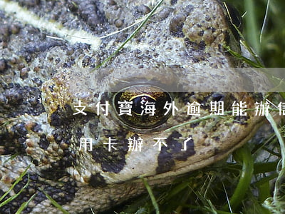 支付寶海外逾期能辦信用卡嗎(支付寶逾期信用卡辦不了?)