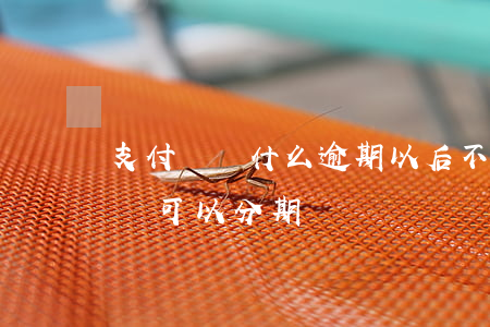 支付寶為什么逾期以后不能分期(支付寶逾期還可以分期嗎)