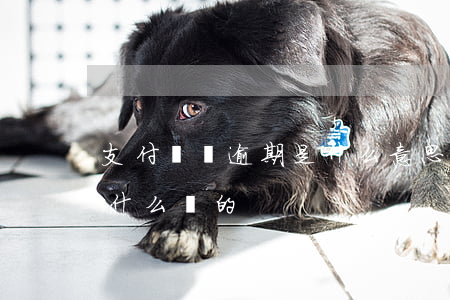 支付寶為逾期是什么意思(支付寶逾期提醒是什么樣的)