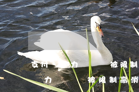 支付寶無力償還會被限制高消費嗎-支付寶無力償還會被限制高消費嗎知乎