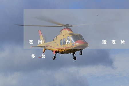 支付寶無力償還處理 支付寶無力償還處理要多久