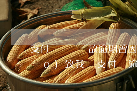 支付寶無緣無故逾期(曾因為特殊情況導(dǎo)致我讓支付寶逾期了)