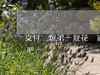 支付寶爆第一批花唄逾期-支付寶花唄逾期吧