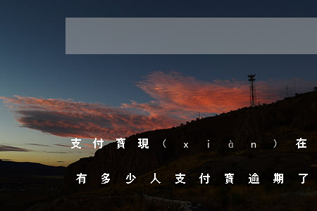支付寶現(xiàn)在有多少人逾期(中國有多少人支付寶逾期了)
