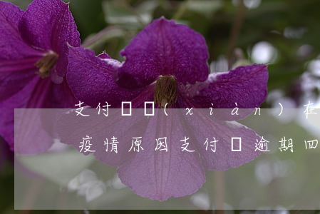 支付寶現(xiàn)在疫情可以逾期嗎-疫情原因支付寶逾期四個(gè)月
