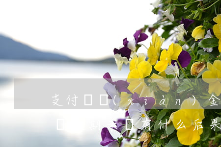 支付寶現(xiàn)金借貸逾期(支付寶借錢逾期未還有什么后果)