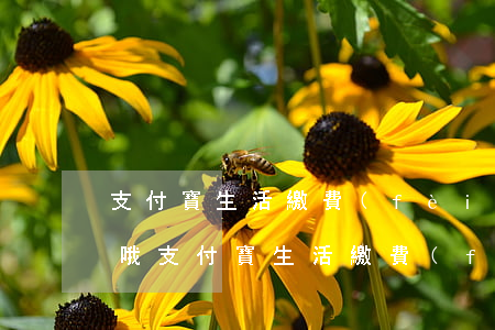 支付寶生活繳費(fèi)逾期是什么意思哦 支付寶生活繳費(fèi)逾期是什么意思哦