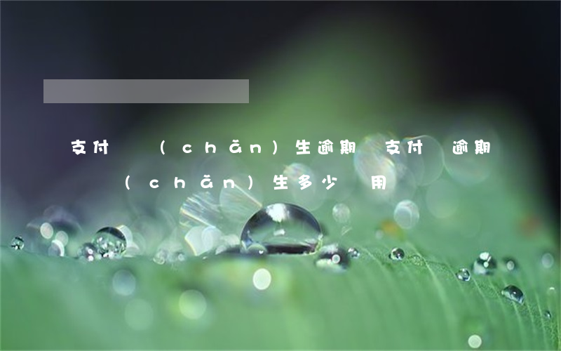 支付寶產(chǎn)生逾期費 支付寶逾期會產(chǎn)生多少費用