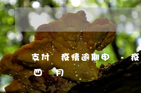 支付寶疫情逾期申訴-疫情原因支付寶逾期四個月