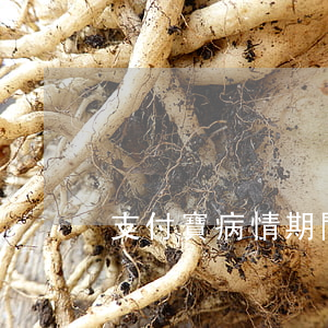 支付寶病情期間逾期(支付寶疫情逾期)