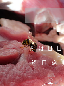 支付寶發(fā)借唄快一年逾期了(支付寶借唄逾期兩萬(wàn)一年了)