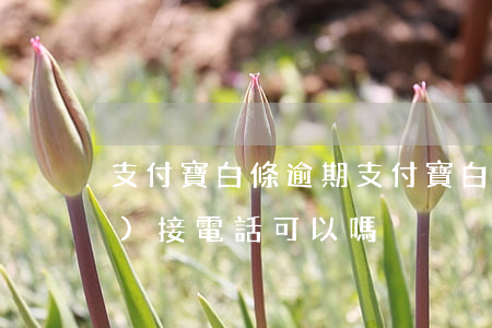 支付寶白條逾期(支付寶白條逾期沒(méi)接電話可以嗎)