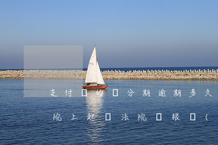 支付寶的來分期逾期多久起訴(支付寶逾期法院上起訴,法院會根據(jù)個(gè)人情況要求分期嗎)